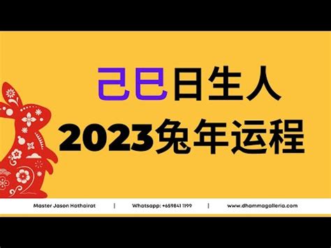 己巳 2023 運勢 拉幾桶